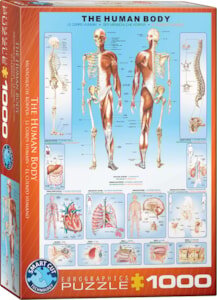 PUZZLE HUMAN BODY 1000PC