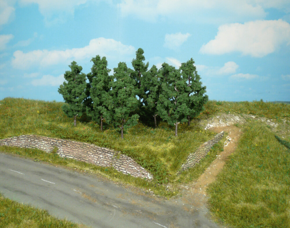 10 SCHWARZPAPPELN 9CM