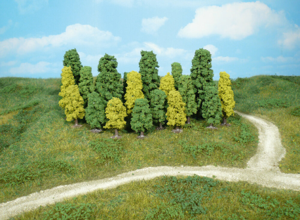 20 LAUBBAUME 4-8CM