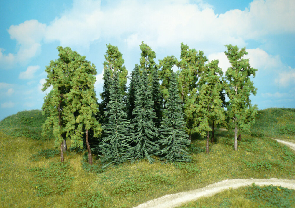 14 LAUBBAUME 14-16CM