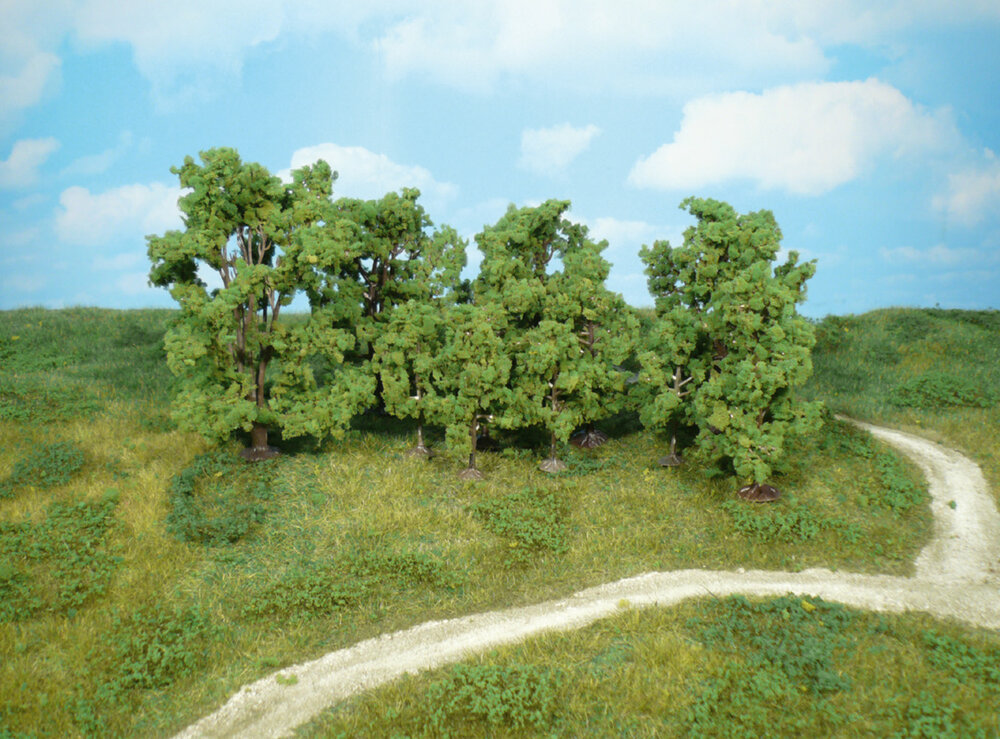 12 LAUBBAUME 6-13CM