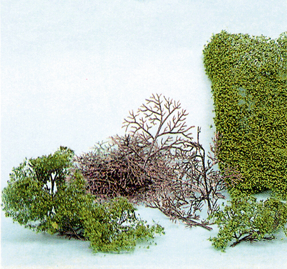 15 BUSCHE 2-6CM