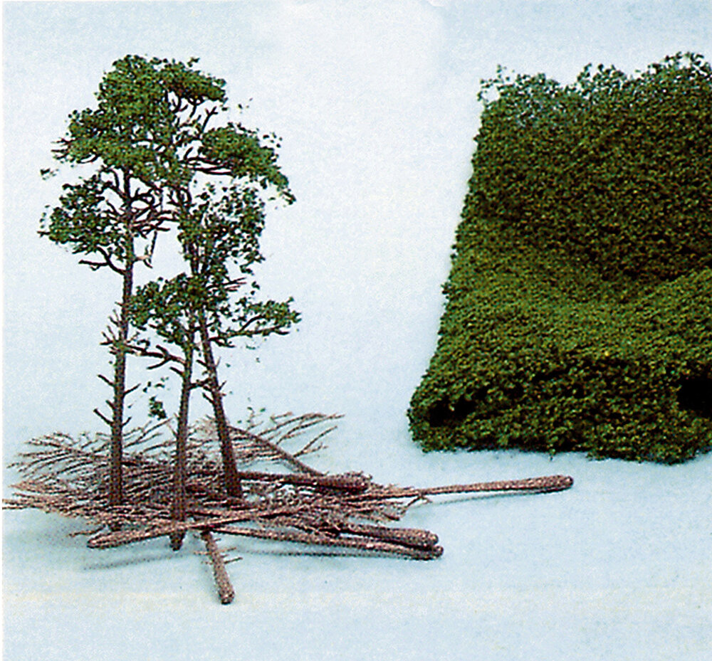 10 KIEFERN 10-16CM