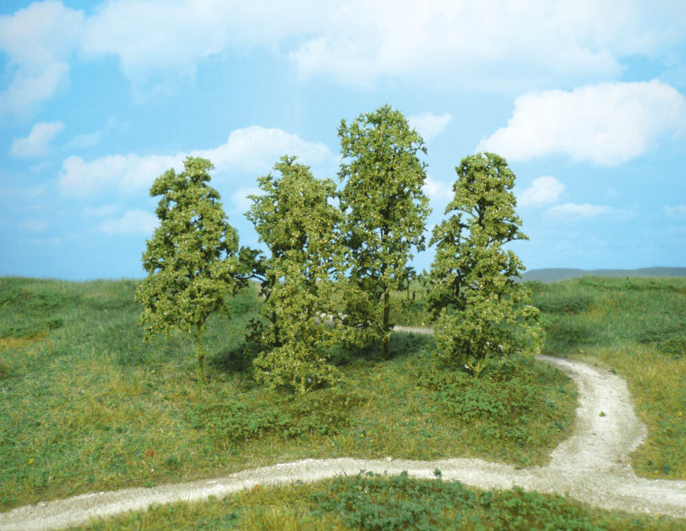 12 NATURBAUME MITTELGRUN