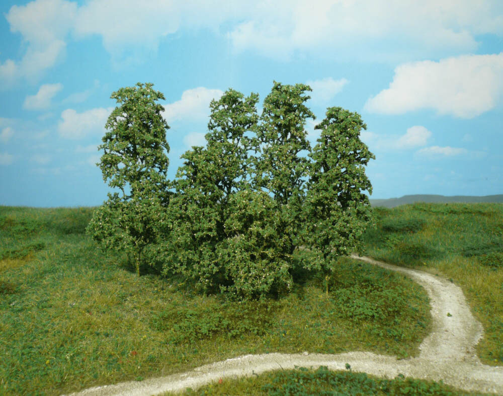 12 NATURBAUME DUNKELGRUN