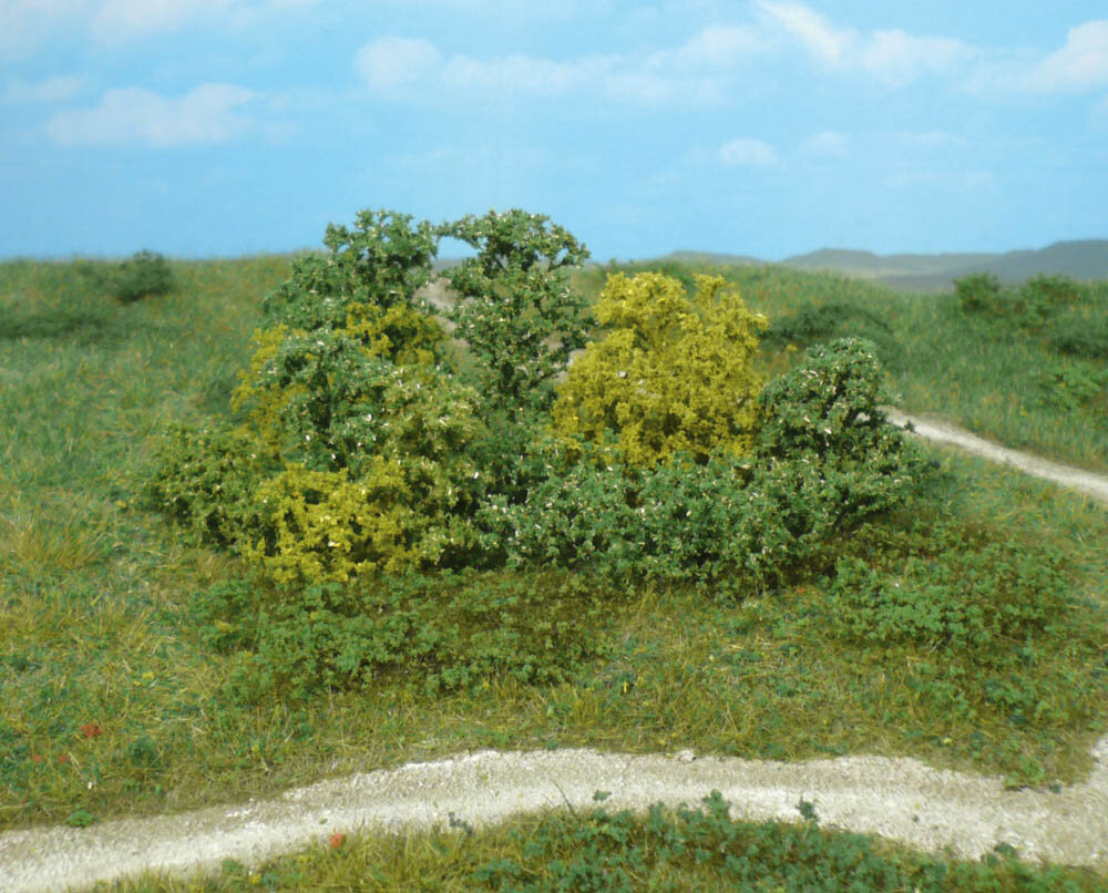 20 NATURBUSCHE