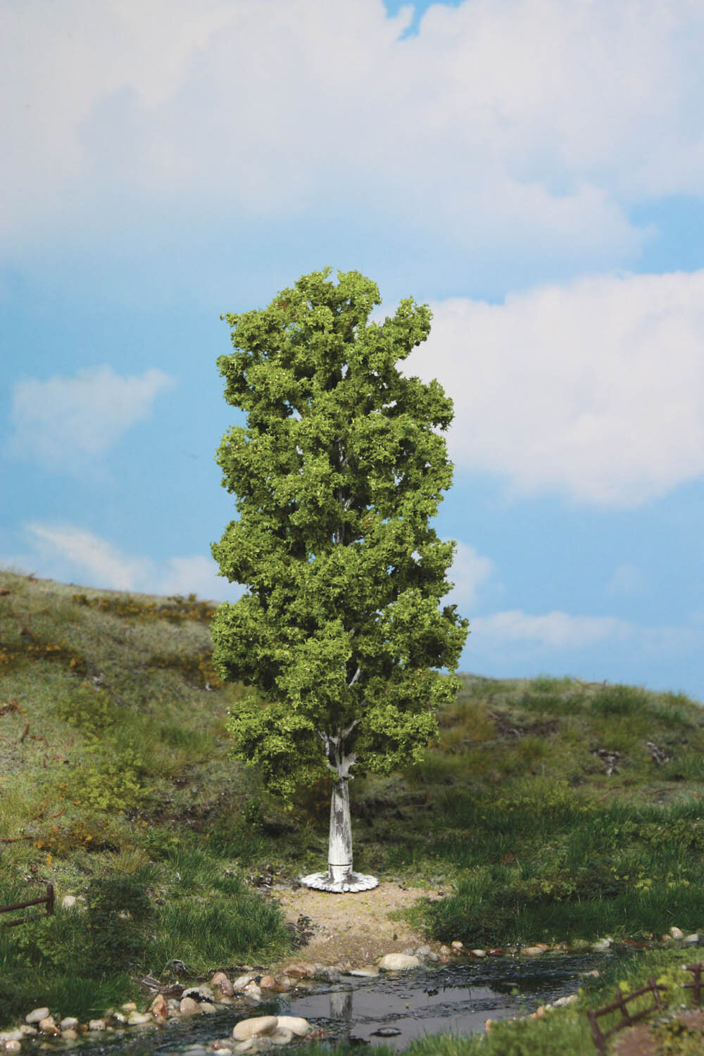 1 BIRKE 20CM