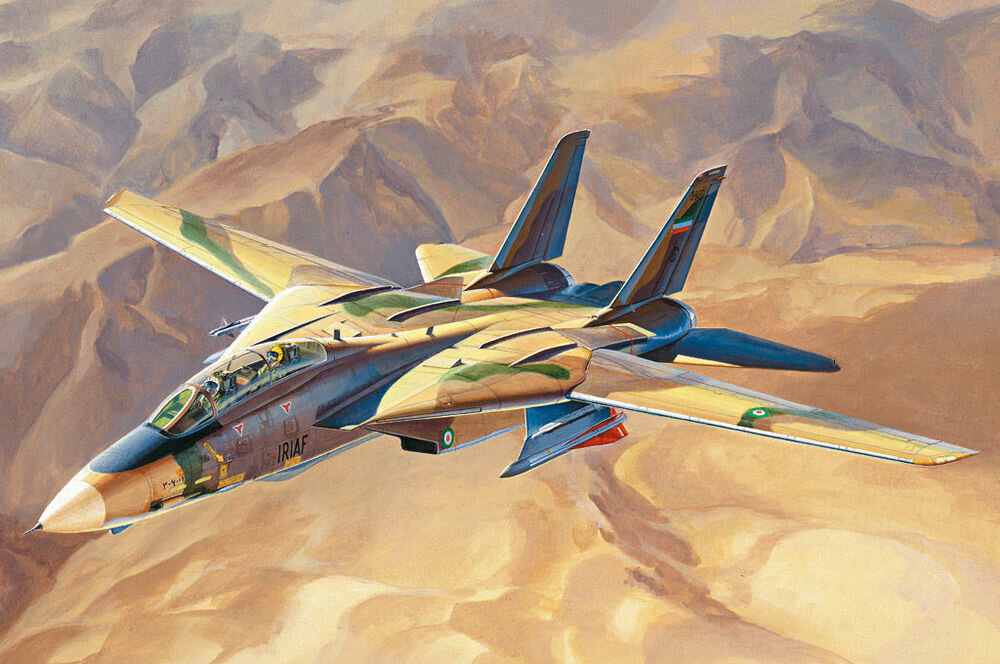 “Persian Cat” F-14A TomCat - IRIAF