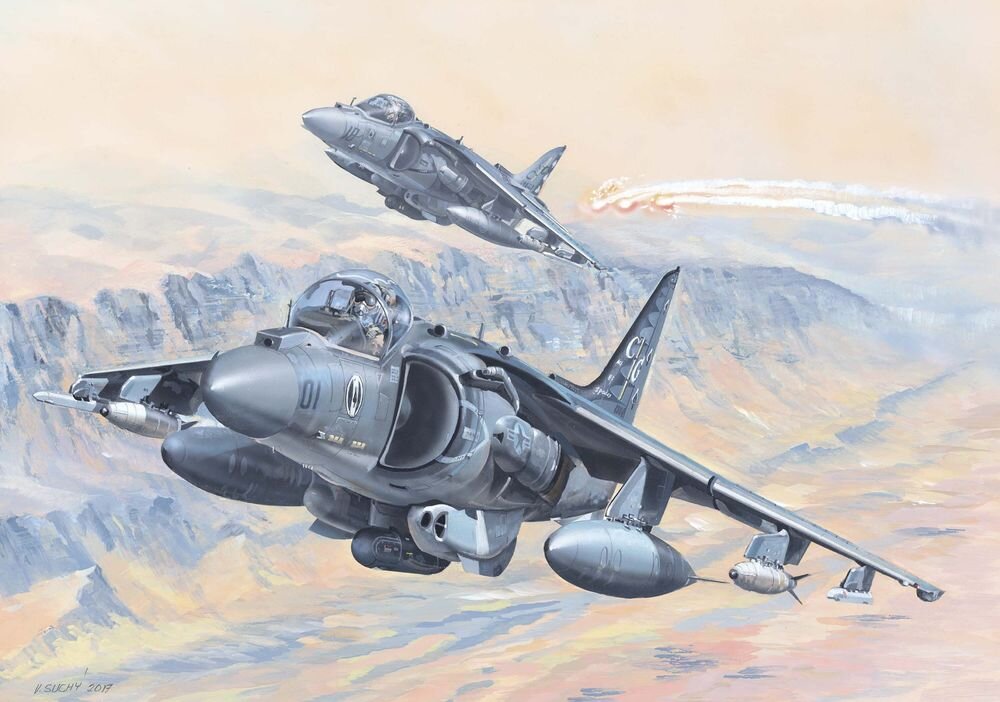 AV-8B Harrier II (3)