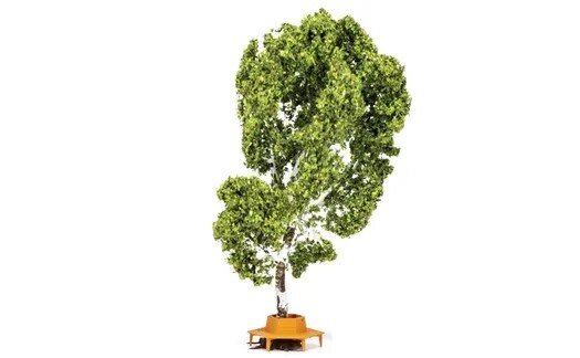 Tree (with Circular Bench)