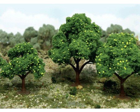 2-1/2″-3-1/2″LemonTrees(6perpack)