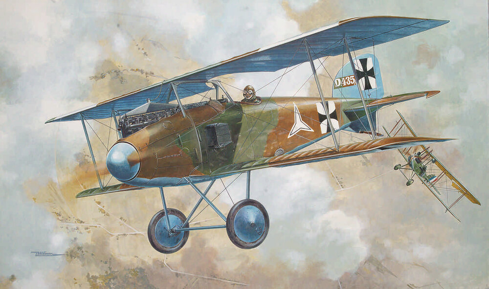 Albatros D.I (2)