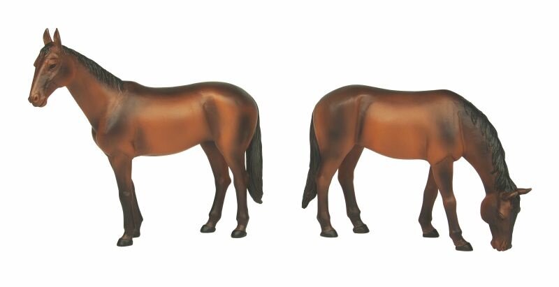 Horses Standing and Grazing