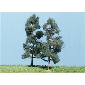 2,25″ SOFTWOOD PINE 5