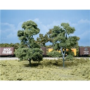 7″-7,5″ BIG OLD TREES 2