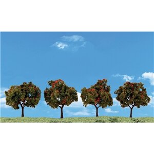APPLE TREES 2″-3″